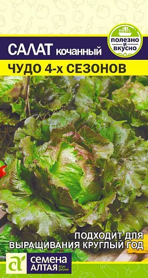 Семена Салат Чудо 4 сезонов Семена Салат Чудо 4 сезонов