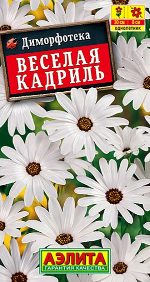 Семена Диморфотека Веселая кадриль. Очаровательный неприхотливый летник с пышным цветением. Сохраняет декоративность в течение всего сезона. Образует полушаровидные кустики высотой 30-35 см, усыпанные шелковистыми соцветиями  диаметром  7-8 см. на крепких цветоносах. Растения засухоустойчивые, светолюбивые, не боятся ветреной погоды, не выносят переувлажнения почвы. Отлично подходят для выращивания в горшках и балконных ящиках, роскошно смотрятся в каменистых садиках, бордюрах и рабатках. Могут давать самосев.<br>
 <br>
Посев в мае в открытый грунт на постоянное место. Всходы прореживают. Совет:  для более раннего цветения возможен посев в отдельные горшочки по 2-3 семени в каждый. Высадка в открытый грунт в середине мая, с максимальным сохранением кома земли. 