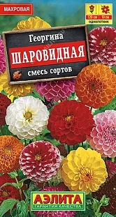 Георгина Шаровидная, смесь сортов