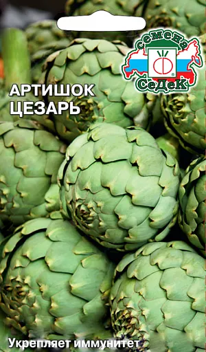 Артишок Цезарь