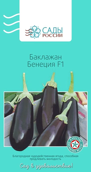 Семена Баклажан Бенеция F1