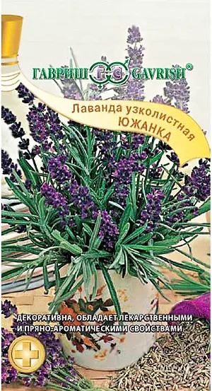 Семена Лаванда узколистная Южанка.
Многолетнее лекарственное, эфирномасличное, пряно-ароматическое, медоносное и декоративное растение семейства Яснотковые.
Многочисленные хорошо разрастающиеся побеги образуют куст высотой 50-60 см.
Цветоносы с ароматными голубовато-сиреневыми колосовидными соцветиями длиной 10-13 см. Цветки небольшие, обоеполые.
Цветет в июне – августе. Листья супротивные, плотные, сидячие, линейные, зеленовато-серебристые, с нежно-серым опушением.
Предпочитает солнечные, теплые, защищенные от ветра участки с сухой, хорошо дренированной почвой. 
Семена стратифицируют в течение 30-40 дней при температуре +5°С, затем высевают и проращивают на свету при температуре 15-21°С (всходят 2 мес.). Когда всходы подрастут, их рассаживают на расстоянии 5 см на хорошо прогреваемое солнечное место. В мае рассаду высаживают на постоянное место. На зиму укрывают еловым лапником, сухой листвой. 
Выращивают в качестве декоративного, лекарственного и пряно-ароматического растения.