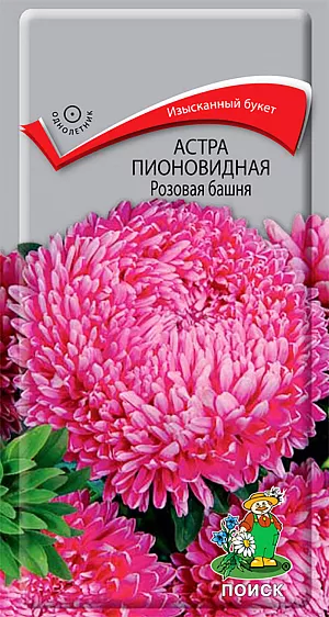 Семена Астра Розовая башня Пионовидная.
Великолепный букет соцветий. Растение колонновидной формы высотой 50-55 см. Соцветия розовые, диаметром 7-8 см. Цветет август-сентябрь. Используют очень широко: для посадки в сборные цветники группами, на рабатки - рядами и на срезку. 
Агротехника. Растение предпочитает открытое солнечное место, но выносит и полутень. Лучше растет на легких, плодородных почвах. Не переносит внесения органических удобрений в год посадки. Семена высевают с середины февраля по апрель.