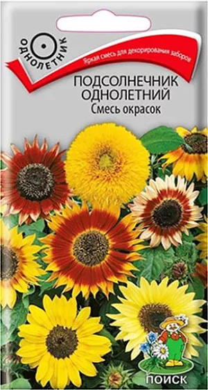 Семена Подсолнечник Смесь окрасок из каталога Подсолнечник Семена Подсолнечник Смесь окрасок. Веселая смесь из махровых и простых подсолнухов разнообразных оттенков. Высота растений 80-200 см. Соцветия диаметром 10-20 см. Цветет с июня по сентябрь. Используют для заднего плана высоких бордюров, декорирования заборов и хозяйственных построек, на срезку.<br>
<br>
Агротехника. Растение теплолюбивое, хорошо растет на легкой питательной почве, предпочитает солнечные места. Посев семян производят в, мае в открытый грунт. Глубина заделки семян 1,5 см. При температуре почвы +15-20°С всходы появляются через 7-14 дней. Расстояние между растениями 25-35 см. Для более раннего цветения возможен посев на рассаду в начале апреля обязательно в горшочки, так как пересадку растения переносят плохо.