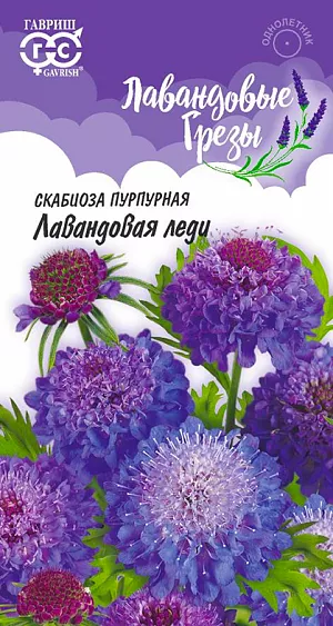Семена Скабиоза пурпурная Лавандовая леди.
Крупноцветковая скабиоза  - неприхотливое однолетнее растение из семейства Ворсянковых. Стебель прямой, разветвляющийся, высотой до90 см. Прикорневые листья ланцетно-овальные, крупнозубчатые, стеблевые – супротивные, перисто-раздельные. Мелкие цветки собраны в головчатые соцветия диаметром 5-6 см. Соцветия лавандово-голубые, махровые, на длинных прочных цветоносах, что особенно ценно для цветочных аранжировок. Предпочитает  солнечнее места с плодородной рыхлой почвой. Размножают семенами: посев на рассаду — в феврале-марте; в открытый грунт — в апреле-мае, выдерживая  расстояние между растениями 35-40 см. Идеально подходит для клумб, рабаток. В срезке стоит очень долго. Отлично переносит пересадку даже в цветущем состоянии.
