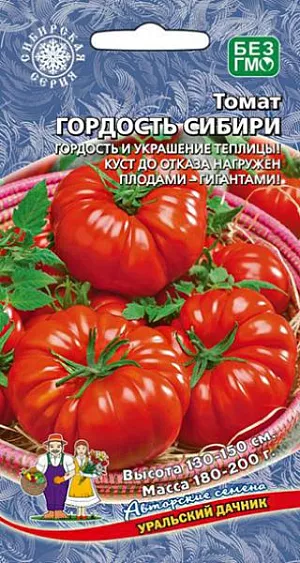 Семена Томат Гордость Сибири