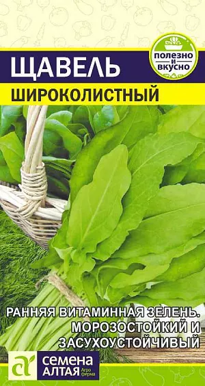 Щавель Широколистный