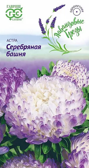 Семена Астра Серебряная башня.<br>
 Растение высотой до 65 см. Куст компактный, цилиндрический, стебли плотные.<br>
 Соцветия пионовидные нежной фиолетово-голубой окраски. <br>
 Для выращивания подходят хорошо освещенные участки с плодородной суглинистой или супесчаной почвой. <br>
 Астры обладают высокой холодостойкостью – хорошо переносят заморозки до -3-4°C. <br>
 Выращивают, чаще всего, рассадным способом. Семена высевают в марте-апреле, пикируют с развитием первой пары настоящих листочков по схеме 5х5 см, в открытый грунт рассаду высаживают с середины мая до начала июня. Возможен подзимний посев астр: в конце октября на глубину 5-8 см. Сверху посевы мульчируют торфом или опилками на высоту 3-5 см. Весной (в конце марта-начале апреля) посевы раскрывают. Появившиеся в конце апреля всходы будут закаленными, а выросшие растения сильными, устойчивыми к заморозкам и обильно цвести. <br>
Используются для получения срезки и оформления участка.