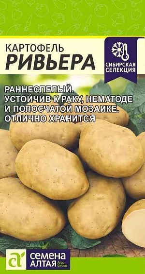 Семена Картофель Ривьера