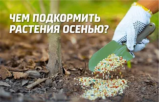 Осеннее удобрение для сада и огорода – чем подкормить растения осенью
