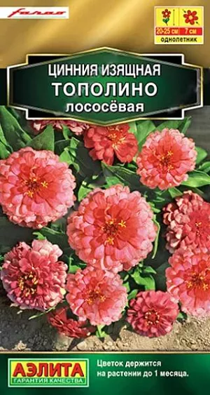 Семена Цинния Тополино лососевая. Компактные размеры куста очень удачно сочетаются с обильнейшим цветением. Аккуратный низкорослый кустик 20-25 см. высотой буквально усыпан крупными (диаметром 7 см.) густомахровыми соцветиями. Цветки по форме напоминают георгинчики, каждый цветок держится на кусте до месяца. Сорт идеально подходит для горшечного выращивания. В цветниках будет незаменим в низком бордюре, на передних планах миксбордеров, в ковровых посадках на больших участках. Рекомендуем сорт для профессионального озеленения.<br>
 <br>
 Циннии – растения теплолюбивые, быстрорастущие, относительно засухоустойчивые. Предпочитают солнечные участки с дренированными почвами среднего плодородия, нейтральной кислотности. В южных регионах возможен безрассадный способ выращивания.<br>