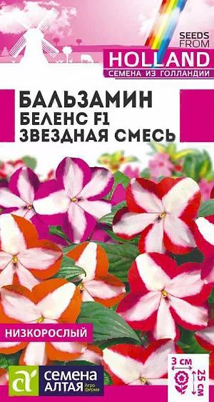 Семена Бальзамин Беленс F1 Звездная смесь.<br>
Многолетнее компактное растение, идеально подходящее для выращивания в горшечной, контейнерной культуре, в открытом грунте выращивается как летник. Высота растения в горшке 15-20 см, в открытом грунте – 20-25 см. Ширина кустика 25-30 см. На сочных мясистых стеблях расположены удлиненно-эллиптические листья приятной зеленой окраски. Очаровательные простые цветки достаточно крупные, в диаметре 2-3 см. В помещениях цветет весь год при температуре не ниже +16°С. Широко используют для украшения клумб, цветников, рабаток, бордюров, подвесных корзин, контейнеров, вазонов. Растение теплолюбивое, в открытом грунте при наступлении холодных ночей увядает. Предпочитает слегка затененные места в саду или комнате. Не выносит переувлажнения. Посевы на рассаду проводят в конце февраля - марте. Подойдет любая хорошо дренированная почва. Сеют поверхностно, не заделывая - для прорастания семенам нужен свет. Для получения наилучшего результата посев рекомендуем проводить в торфяные таблетки (одно семя в таблетку). Посевы увлажняют, накрывают стеклом (до появления всходов), периодически проветривая, и помещают в светлое место, избегая попадания прямых солнечных лучей. При температуре +23°С всходы появляются через 2-3 недели. После появления первых петелек температуру снижают, днем нужно поддерживать +18°C, а ночью +16°C. На данном этапе рассада нуждается в хорошем освещении, необходимая длина светового дня – не менее 12-14 часов, поэтому растения нужно досвечивать фитолампами. После появления 2-х настоящих листиков сеянцы пикируют в отдельные горшки, обеспечив дренаж. Делают это аккуратно, чтобы не повредить корни растений. В открытый грунт рассаду высаживают в мае-июне, когда минует угроза весенних заморозков, посадочный интервал 25-30 см. Цветение обильное и продолжительное, с июня до осенних холодов.
