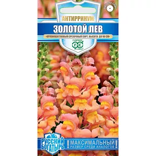 Семена Львиный зев (Антирринум) Золотой лев