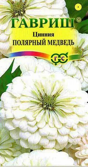 Семена Цинния Полярный медведь из каталога Цинния Семена Цинния Полярный Медведь.
Однолетник. Растение высотой 60-90 см. Соцветия — корзинки 10-12 см в диаметре, кремово-белого цвета.
Размножают семенами через рассаду, так как цинния чувствительна даже к самым легким заморозкам.
Перед посевом семена желательно замочить. Посев в апреле, на глубину 1 см.
Высадка в цветник производится после окончания весенних заморозков, выдерживая расстояние между растениями 30-35 см.
Если рассада вытянулась, ее можно заглубить, так как у цинний быстро образуются придаточные корни.
На юге циннию размножают прямым посевом в грунт в апреле — мае с последующим прореживанием.
Начало цветения через 2,5 месяца после посева. Цветет очень обильно и продолжительно с середины июня до заморозков.
Каждый цветок держится на растении долго, до 35 дней. Используют в клумбах, рабатках, больших массивах и для срезки.
Особенно хорошо циннии смотрятся группой. Цветы долго стоят в воде, сохраняя яркость окраски.
Их срезают, когда соцветие раскроется на 3/4, концы стеблей обжигают или обрезают в горячей воде.
Подвядшему букету цинний можно вернуть свежесть, поместив его в горячую воду и предварительно обновив нижний косой срез.