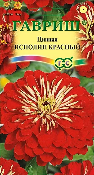 Семена Цинния Исполин Красный.
Серия высокорослых крупноцветковых цинний для элитного оформления сада. Отличается чрезвычайно обильным и продолжительным цветением, прочными ветвящимися цветоносами, чистыми и стойкими к выгоранию тонами соцветий.
Формирует приподнятые, разветвленные кусты высотой до 90 см. Соцветия георгиновидные, крупные, красные, 15 см в диаметре, с высокой устойчивостью к неблагоприятным погодным условиям. Цветет с июня до заморозков. 
Циннии светолюбивы, засухоустойчивы и теплолюбивы; отзывчивы на полив, без длительного полива снижается интенсивность цветения и уменьшается размер соцветий. Выращивают рассадным способом. Семена высевают в апреле. 
Всходы появляются через 4-6 дней. В начале июня растения высаживают на расстоянии 20 см.