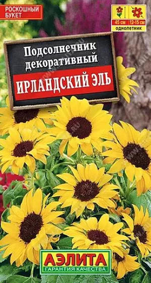 Семена Подсолнечник декоративный Ирландский Эль из каталога Подсолнечник Семена Подсолнечник декоративный Ирландский Эль. Очень декоративный, низкорослый сорт. Один из самых простых в выращивании, не требующий особого ухода. Растения компактные, коренастые, высотой до 45 см. Первым распускается более крупный центральный цветок, затем целый ряд боковых. Одновременно на одном растении может быть 10-15 соцветий. Куст напоминает роскошный букет. Используется для украшения клумб, рабаток, великолепно подходит для выращивания в горшках и садовых вазах.<br>
<br>
Посев семян в открытый грунт на глубину 2-3 см. Всходы прореживают. Хорошо растет на богатой, плодородной почве. Обязательно солнечное местоположение. Растениям необходимы регулярные поливы, прополки, рыхления и подкормки. Посев на рассаду в апреле в отдельные горшочки ускоряет цветение на 3-4 недели.