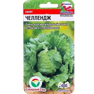 Семена Салат Челлендж