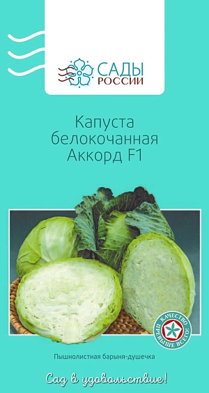 Семена Капуста белокочанная Аккорд F1