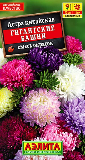 Семена Астра Гигантские башни смесь окрасок.
Красивая астра с классическими, густомахровыми соцветиями пионовидной формы 10-12 см, на длинных, прочных цветоносах. Формирует стройные, колонновидные кусты высотой 60-70 см. Назначение универсальное, используется для украшения цветников и на срезку. Великолепные соцветия с богатой палитрой окрасок весьма долговечны в букетах. 
Агротехника. Выращивают рассадным способом. С развитием первой пары настоящих листочков сеянцы пикируют. На постоянное место рассаду высаживают в возрасте 30-35 дней. Возможен посев семян в открытый грунт весной или под зиму, в конце октября, на глубину 0,5-1 см. Растениям необходимы регулярные поливы, прополки, рыхления и подкормки.