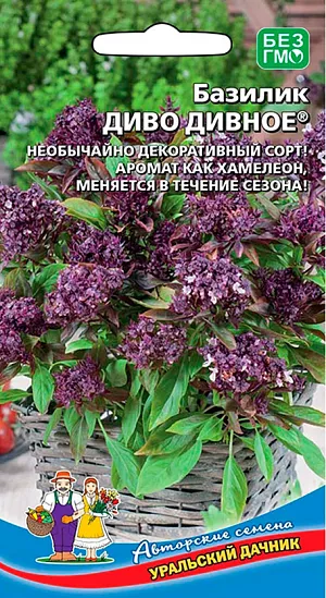 Семена Базилик Диво Дивное