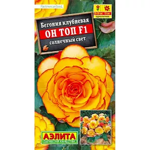 Бегония Он Топ F1 солнечный свет