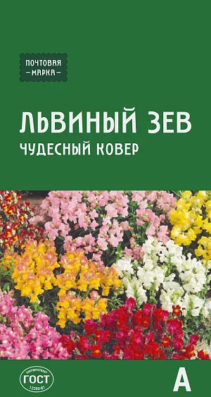 Семена Львиный зев Чудесный ковёр из каталога Львиный зев Семена Львиный зев Чудесный ковёр
Веселая яркая смесь с обильным и продолжительным цветением. Растения карликовые, сильноветвистые, смыкаясь, образуют пестрый цветущий ковер. Кистевидные ароматные соцветия длиной 7 см могут быть самых разнообразных окрасок: от светлых и нежных до насыщенно-пурпурных или двуцветных. Цветки долго не увядают. Холодостоек, неприхотлив. Высаживают в бордюрах, на клумбах группами, в контейнерах.