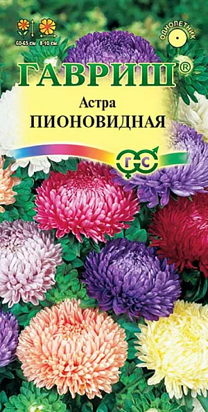 Семена Астра Пионовидная из каталога Астра Семена Астра Пионовидная.
Растение пирамидальной формы, высотой 60-65 см. Цветоносы прочные. Соцветия махровые, диаметром 8-10 см, различной окраски.
Язычковые цветки плотно прижаты друг к другу и загнуты в середину.
Для выращивания подходят хорошо освещенные участки с плодородной суглинистой или супесчаной почвой.
Астры обладают высокой холодостойкостью – хорошо переносят заморозки до -3-4°C. Выращивают, чаще всего, рассадным способом.
Семена высевают в марте-апреле, пикируют с развитием первой пары настоящих листочков по схеме 5х5 см, в открытый грунт рассаду высаживают с середины мая до начала июня. Возможен подзимний посев астр: в конце октября на глубину 5-8 см. Сверху посевы мульчируют торфом или опилками на высоту 3-5 см. Весной, в конце марта-начале апреля, посевы раскрывают. Появившиеся в конце апреля всходы будут закаленными, а выросшие растения сильными, устойчивыми к заморозкам и обильно цвести.
Используются для получения срезки и оформления участка.