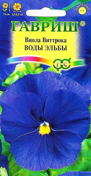 Семена Виола Воды Эльбы Виттрока.
Неприхотливое популярное растение из семейства Фиалковые высотой 15 см. Цветет обильно и продолжительно с мая по сентябрь. 
Цветки крупные, 5,5-6,5 см в диаметре, ровного синего тона. Влаголюбива, холодостойка, хорошо растет на солнце и в полутени. 
Для получения растений, цветущих в год посева, семена высевают на рассаду в феврале-марте. Всходы появляются через 5-7 дней. 
В открытый грунт рассаду высаживают в конце апреля-начале мая на расстоянии 20 см. 
Растения хорошо переносят пересадку в цветущем состоянии. При посеве в открытый грунт в июне-июле, цветение наступает во второй год.
Используют для посадки массивами, на клумбы, рабатки, в балконные ящики и садовые вазы.
