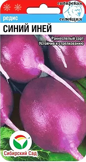 Семена Редис Синий иней
