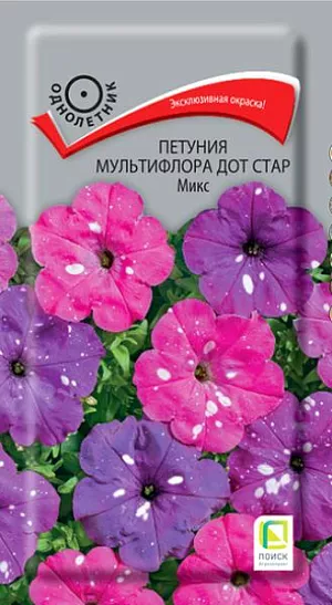 Семена Петуния Дот Стар Микс мультифлора из каталога Петуния Петуния Дот Стар Микс мультифлора
Прорыв в области селекции! Растение высотой 30-35 см, хорошо ветвится. Диаметр цветка 6-7 см. Ни одна другая петуния не может похвастаться звездным крапчатым рисунком. Окраска - белые крапинки на розовом и сине-лиловом фоне. Яркость и форма рисунка зависит от погодных условий - каждый цветок совершенно уникален. Быстро восстанавливается после дождя. Используют для оформления цветников, балконных ящиков и контейнеров.