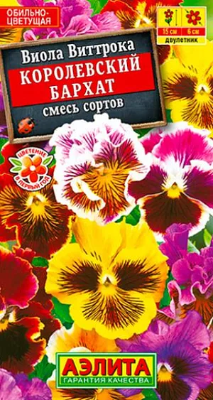 Семена Виола Королевский бархат смесь окрасок.
Красивая смесь фиалок с гофрированными лепестками. Формирует компактные растения высотой 15-20 см, цветущие с мая до устойчивых заморозков. Цветки бархатистые, крупные, диаметром до 6 см. Цветение обильное. Растения неприхотливые, холодостойкие, светолюбивые. Хорошо смотрятся в оформлении балконов, садовых ваз, клумб, бордюров. Эффектные цветки можно использовать для мини-букетиков и бутоньерок. Агротехника. Для цветения в год посева семена высевают на рассаду в феврале-первых числах марта, с пикировкой сеянцев в фазе одного-двух настоящих листьев. В открытый грунт рассаду высаживают в конце апреля-мае. При посеве в открытый грунт в июне-июле цветет на следующий год. 