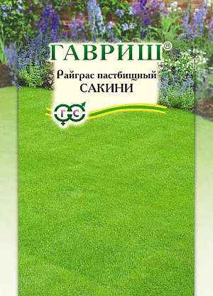 Райграс Сакини пастбищный
