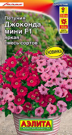 <div>
 Семена Петуния Джоконда мини F1, смесь сортов.
</div>
 Уникальный гибрид итальянской селекции от компании Farao с невероятно обильным цветением. Кусты компактные, ветвистые, высотой 20-30 см. Цветки  ? 5-6 см, не травмируются дождями и сильным ветром. Растения выдерживают кратковременные заморозки до – 5 °С и экстремальную жару. Они не завязывают семена, а направляют всю силу на образование новых цветков. Идеальны для контейнерной культуры, подходят для клумб и рабаток.<br>
 <br>
  Семена в гранулах! Гранулы располагают на поверхности почвы, не заделывая их, хорошо увлажняют из распылителя. При попадании влаги на гранулу оболочка должна раствориться. Посевы накрывают стеклом для сохранения постоянной влажности до полных всходов. Февральским посевам требуется дополнительная подсветка.<br>