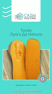 Тыква Лунга ди Наполи