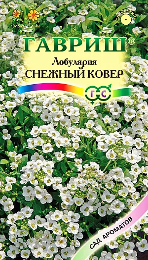 Семена Лобулярия Снежный ковер.
Однолетнее растение из семейства крестоцветных. Кусты низкие, густоветвящиеся, компактные, высотой 10—15 см. 
Листья узколанцетные. Цветки мелкие 3-4 мм в диаметре, собраны в кистевидные соцветия, белого цвета, с сильным запахом меда, сплошь покрывают кусты во время цветения. 
Цветет с конца июня до октября. Семена высевают в грунт в апреле-мае или в марте на рассаду. 
Расстояние между растениями выдерживают 15-20 см. Возможен подзимний посев. Дает обильный самосев. 
К почвам нетребовательна, светолюбива, холодоустойчива. Используют для всех видов цветников. Прекрасный медонос.
