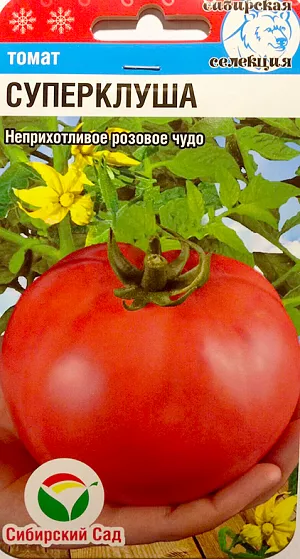 Семена Томат Суперклуша Семена Томат Суперклуша