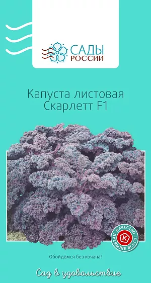 Семена Капуста листовая Скарлетт F1 0,5гр