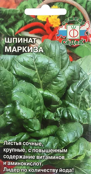 Семена Шпинат Маркиза