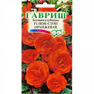 Бегония Нон-Стоп Оранжевая клубневая F1