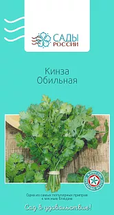 Семена Кинза Обильная Семена Кинза Обильная