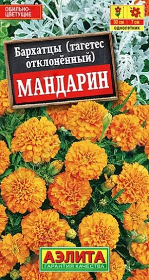Бархатцы отклоненные Мандарин из каталога Бархатцы Семена Бархатцы Мандарин отклоненные.<br>
<br>
Низкорослый сорт с крупными, махровыми соцветиями диаметром 5-7 см. Кусты компактные, высотой до 30 см., хорошо ветвятся и сохраняют декоративный вид в течение всего сезона. Цветение роскошное: очень обильное и продолжительное. Растения неприхотливые, подходят для выращивания в горшках и балконных ящиках. Прекрасно смотрятся на клумбах и в бордюрах.<br>
<br>
Бархатцы предпочитают солнечные участки с дренированными, плодородными почвами нейтральной кислотности. Растения теплолюбивые, быстрорастущие, взрослые – достаточно засухоустойчивые.<br>