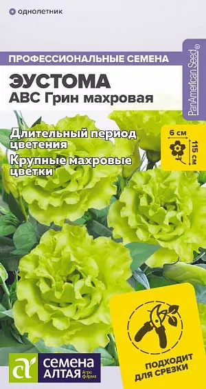 Семена Эустома ABC Грин махровая из каталога Эустома Эустома ABC Грин махровая<br>
<br>
Срезочный сорт с длительным периодом цветения. Цветки махровые, зеленой окраски (интенсивность цвета может варьироваться в зависимости от освещенности и кислотности грунта), в фазе полуроспуска напоминают бутоны роз, в срезке долго не осыпаются. Можно выращивать в комнатных условиях как многолетнее растение. При достаточном количестве света и минерального питания в комнатных условиях цветет с зимы. Используется для оформления клумб, рабаток, бордюров. Высота растения: 90-115 см. Диаметр цветка: 5-6 см. Время до появления всходов: 7-14 дней Перевалка: производится в стадии 2-4 настоящих листьев в рассадные емкости диаметром около 9 см Время высадки в открытый грунт: май-июнь, не менее 10-14 недель от посева Посадочное расстояние: 15-25 см Период цветения: июнь-август, с 14-18 недели от полных всходов, январь-август при выращивании в качестве комнатного растения Уход: досветка растений 12-16 часов в сутки, рекомендуется провести прищипывание для стимуляции ветвления на 8-10 неделе, первую подкормку проводят в фазе 2-4 настоящих листьев комплексным минеральным удобрением, далее – 1 раз в 2 недели. В начале бутонизации из подкормок убирают азот. Внимание! Семена дражированные, оболочку драже не разрушать, она растворяется при поливе!
