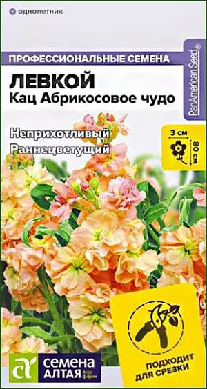 Семена Левкой махровый Кац Абрикосовое чудо<br>
 <br>
 Неприхотливый сорт для срезки и высоких клумб. Формирует выравненные кустики с короткими междоузлиями. Цветение раннее, обильное и продолжительное, цветки крупные, абрикосово-медного цвета (50% махровых цветков), собраны в эффектные кисти. Соцветия срезают в стадии 3-5 распустившихся цветков, в срезке стоят до 8 дней, для продления декоративности букеты можно убирать в холодильник. Высота растения: 60-80 см Диаметр цветка: 2,5-3 см Условия выращивания, место посадки: хорошо освещенные места Требования к грунту: питательный легкий грунт с нейтральной реакцией Способы выращивания: рассадный, безрассадный Время посева на рассаду: февраль-март Время посева в грунт: апрель-май, октябрь-ноябрь. <br>