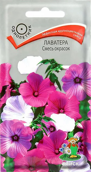 Семена Лаватера Смесь окрасок.
Эффектные яркие цветки. Великолепная смесь высокорослых сортов. Ветвистое растение, высотой 60-80 см, с воронковидными цветками ярко-белой, розовой и карминно-розовой окраски. Цветёт обильно с июля до осени, отцветшие цветки регулярно удаляют. Используют для клумб, как фокусное растение, хорошо смотрится в рядовых посадках и для срезки. 
Агротехника. Растение холодостойкое. Предпочитает солнечные места (может расти в полутени), к почвам не требовательно. Посев семян производят в мае непосредственно в грунт. Глубина заделки семян 0,5-1 см. При температуре почвы +18°C всходы появляются 7-14 дней. Расстояние между растениями 25-30 см. Семена соответствуют требованиям международных стандартов и ГОСТу РФ 12260-81.