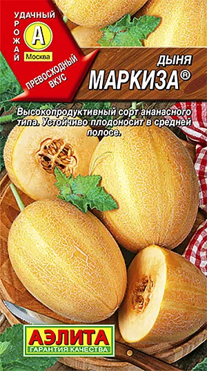 Семена Дыня Маркиза Семена Дыня Маркиза