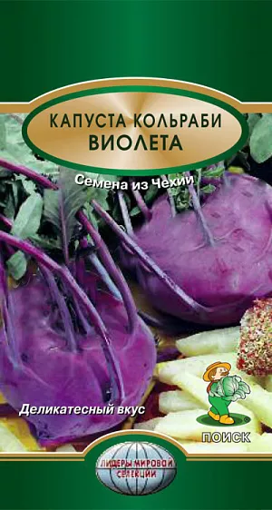 Семена Капуста кольраби Виолета