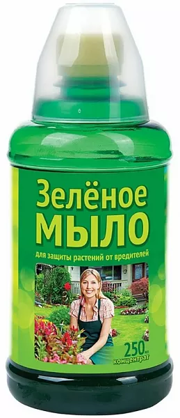 Зеленое мыло Зеленое мыло