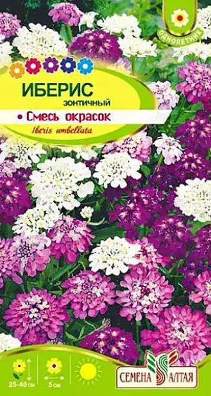 Семена Иберис зонтичный Смесь окрасок.<br>
Однолетнее, пышноцветущее растение, медонос с отличным ароматом. Кустики ветвящиеся, раскидистые, покрытые многочисленными зонтиковидными кистями диаметром до 5 см, состоящими из небольших розовых, сиреневых, лиловых и белых цветков. Цветет с июня по август. Растение невысокое - 25-40 см, хорошо смотрится на переднем плане клумб и миксбордеров, можно выращивать в контейнерах и балконных ящиках. Светолюбив и холодостоек, к почвам не требователен, но лучше растет на суглинистых, известкованных, небогатых. Семена высеивают в открытый грунт в апреле - мае или под зиму по мерзлой почве. Всходы прореживают на расстоянии 20 см друг от друга.
