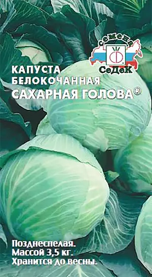 Семена Капуста белокочанная Сахарная голова Семена Капуста белокочанная Сахарная голова