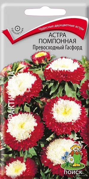 Семена Астра Превосходный Госфорд помпонная. Чудесные двухцветные астры! Компактное ветвистое растение высотой до 50 см. Соцветия плоскоокруглые, диаметром 5-6 см, темно-красные с белым центром. На растении до 30 соцветий. Используют очень широко: для посадки в сборные цветники группами, на рабатки – рядами и на срезку.<br>
 <br>
 <br>
Растение светолюбивое, холодостойкое. Наибольшей декоративности достигает при выращивании на открытых, солнечных местах и достаточно плодородных почвах. Семена высевают с середины февраля по апрель. глубина заделки семян 0,5 см. При температуре почвы +20°С всходы появляются на 7-14 день. Через 3-4 недели посевы пикируют и выращивают при температуре +12-15°С В грунт рассаду высаживают во второй половине мая, расстояние между растениями 20-30 см.
